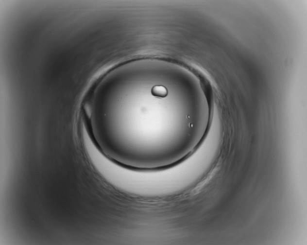 X0000099981461200805301344