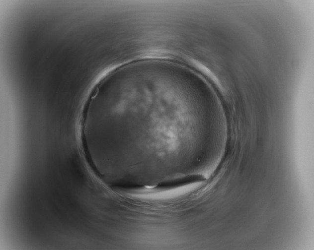 X0000099981463200805301344