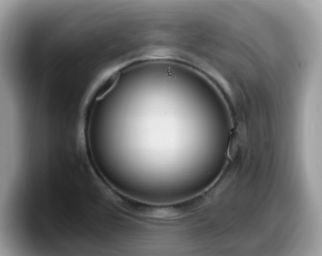 X0000099981464200805301344