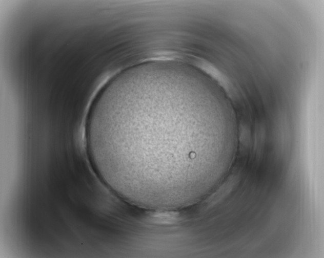 X0000099981466200805301344