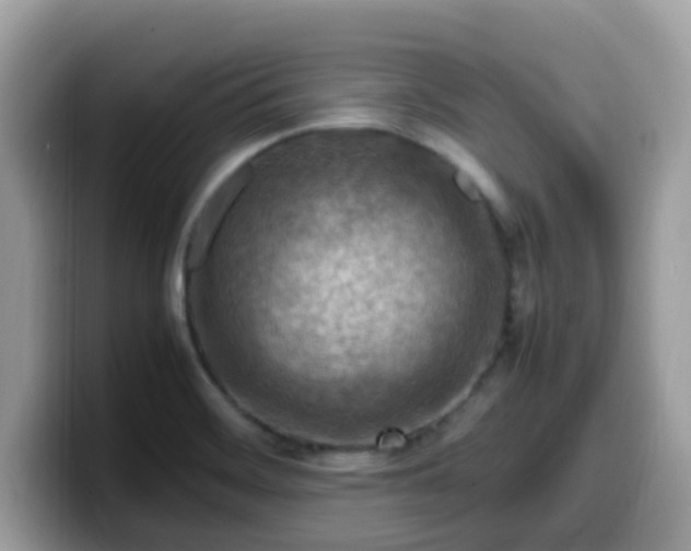 X0000099981468200805301344