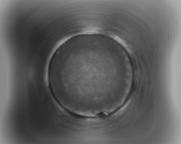 X0000099981469200805301344