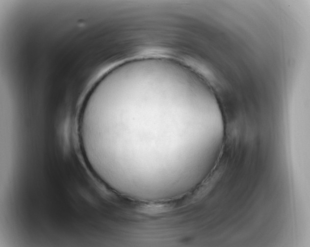 X0000099981470200805301344