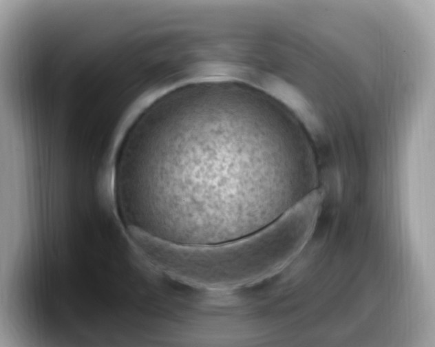 X0000099981472200805301344