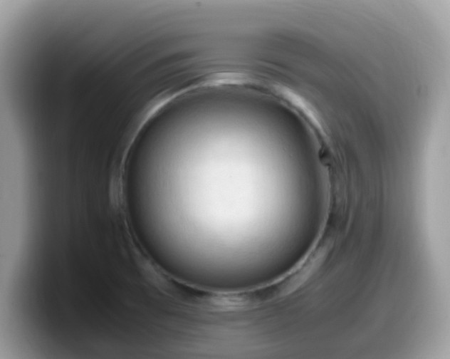 X0000099981473200805301344