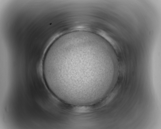 X0000099981474200805301344