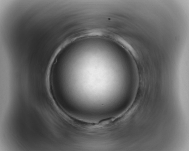 X0000099981475200805301344