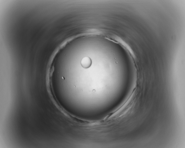 X0000099981477200805301344