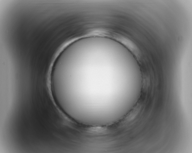 X0000099981478200805301344