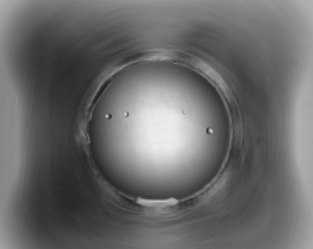 X0000099981481200805301343