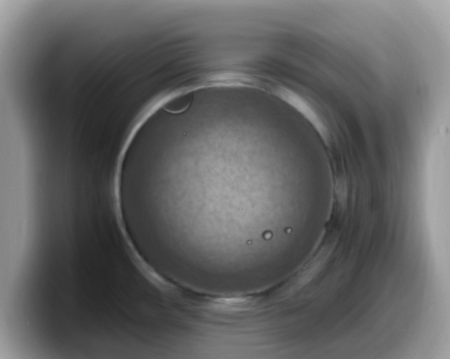 X0000099981482200805301343