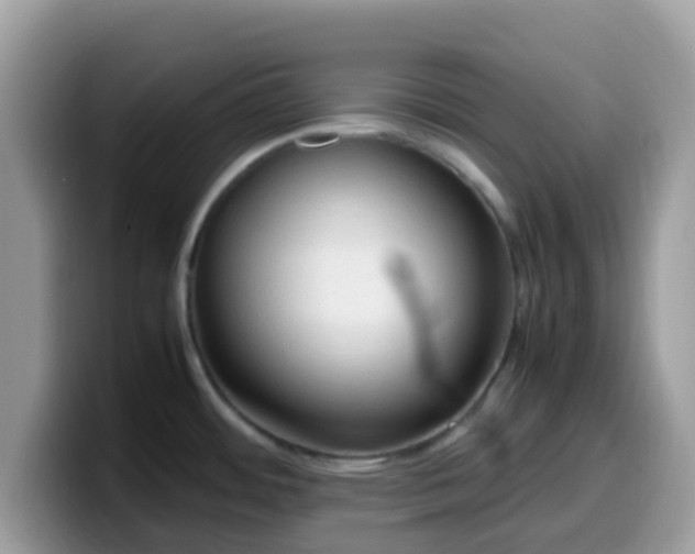X0000099981484200805301343