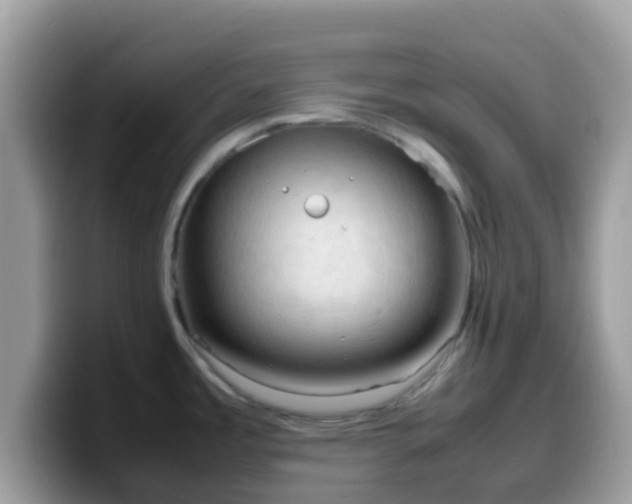 X0000099981485200805301343