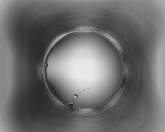 X0000099981486200805301343