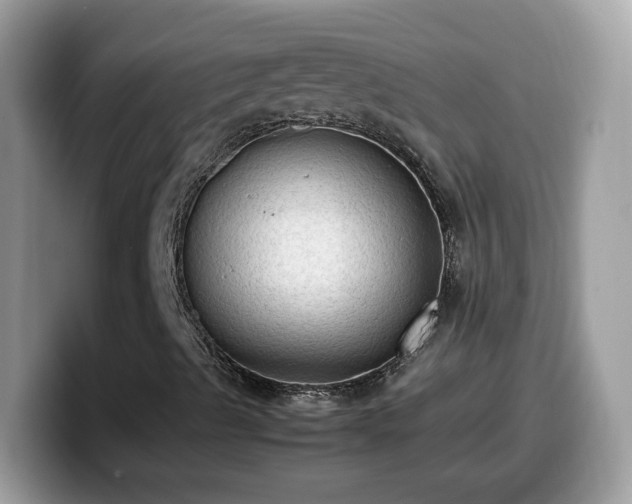 X0000099981489200805301343