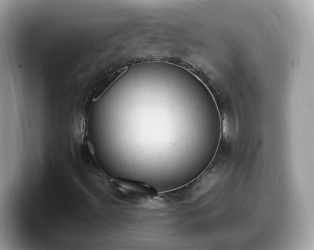 X0000099981492200805301343
