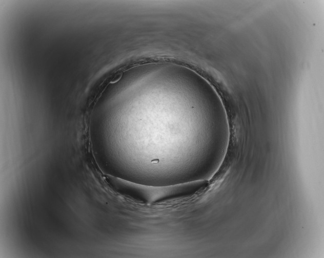 X0000099981494200805301343