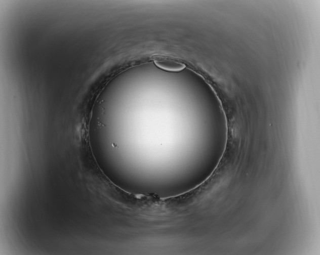 X0000099981495200805301343