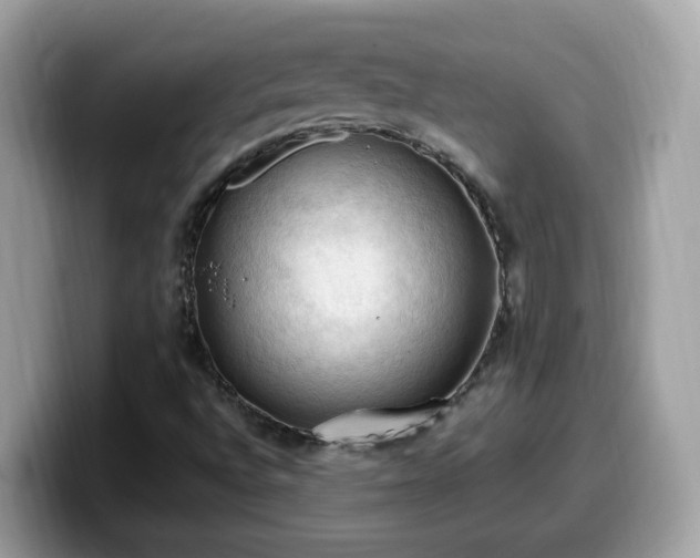 X0000099981496200805301343