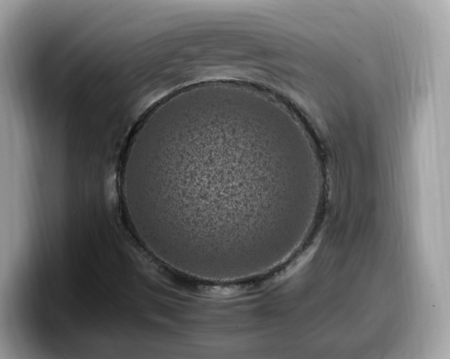 X0000099981497200805301343