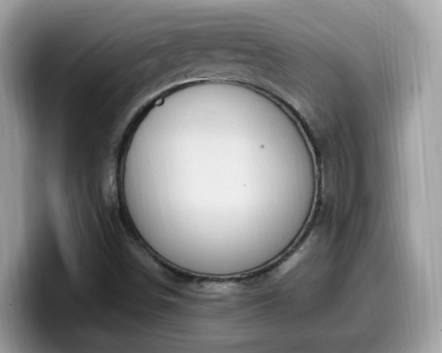 X0000099981498200805301343