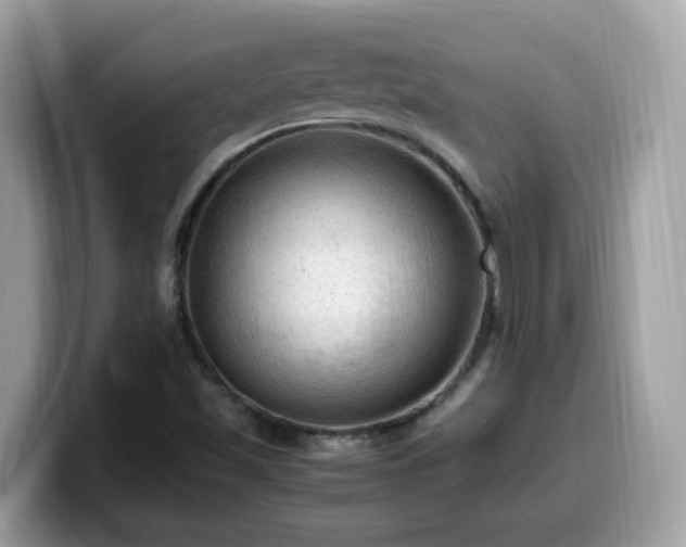 X0000099981501200805301343
