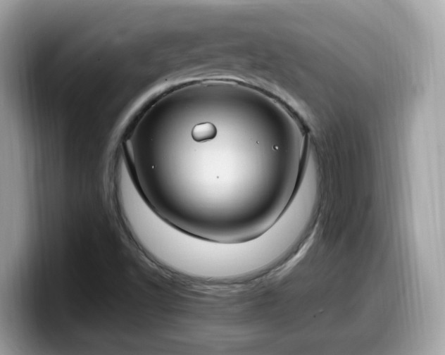 X0000099981502200805301343