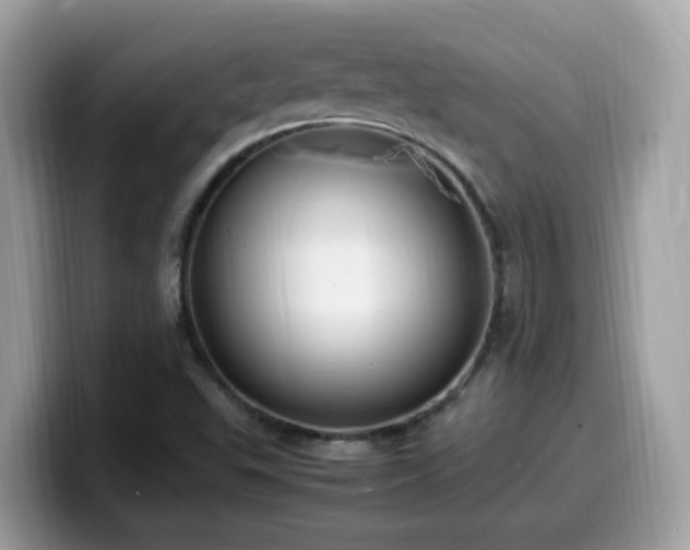 X0000099981503200805301343