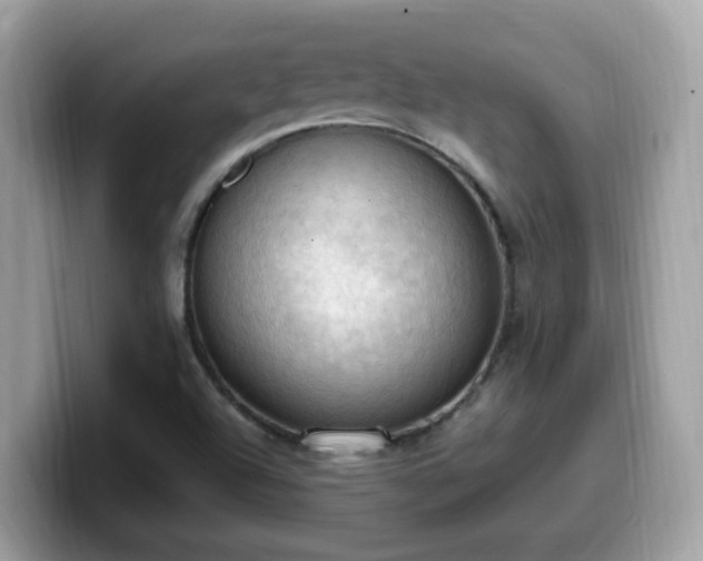 X0000099981504200805301343