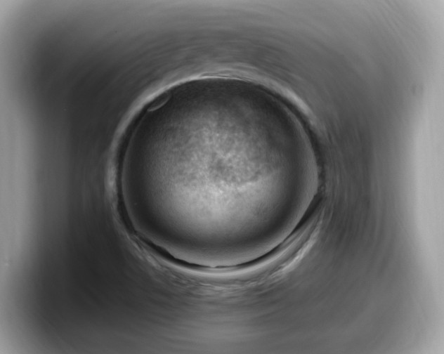 X0000099981506200805301343