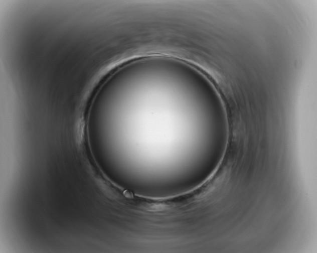 X0000099981507200805301343