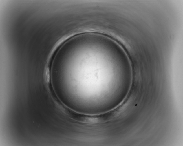 X0000099981509200805301343