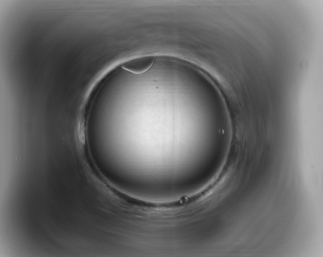 X0000099981510200805301343