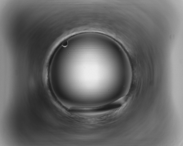 X0000099981511200805301343
