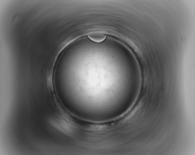X0000099981513200805301343