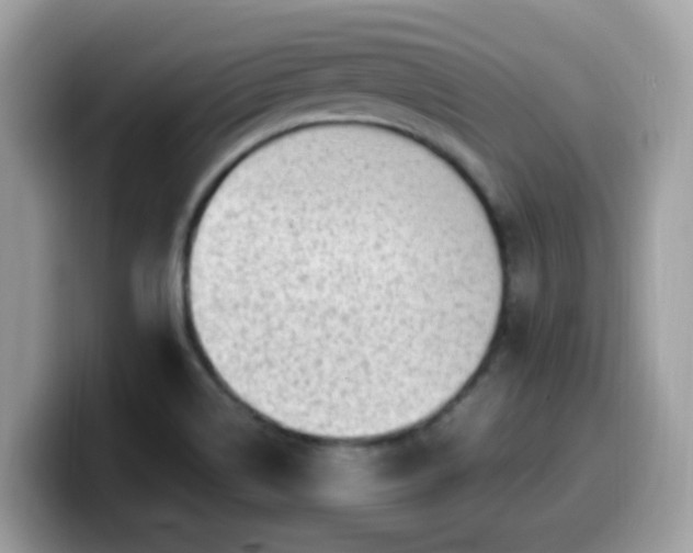 X0000099981514200805301343