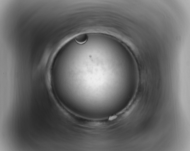 X0000099981517200805301343