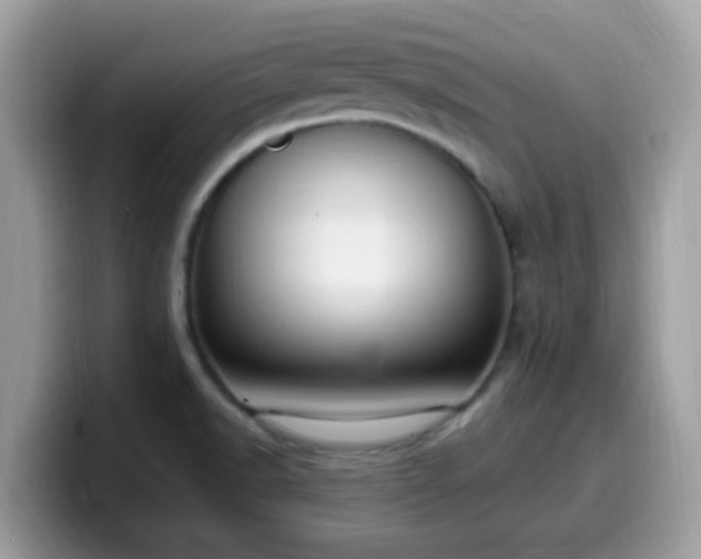 X0000099981518200805301343