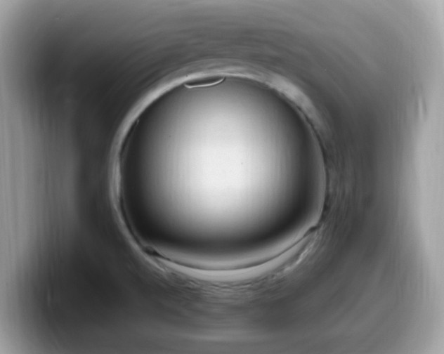 X0000099981520200805301343