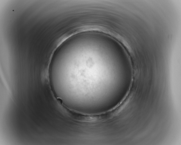 X0000099981521200805301343
