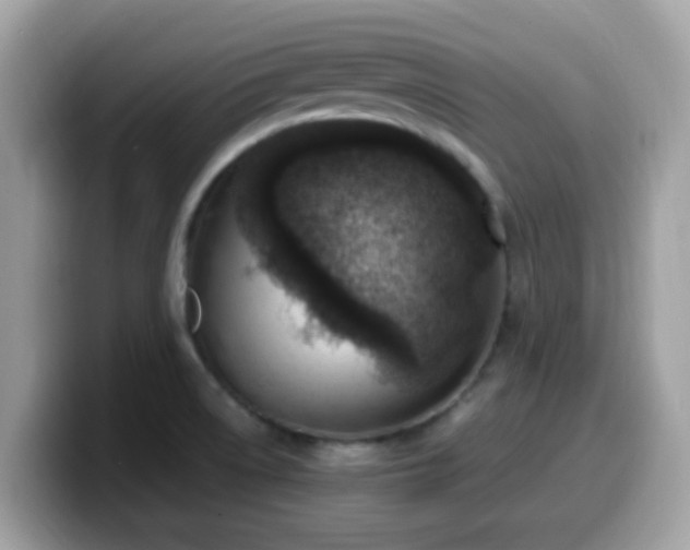 X0000099981522200805301343