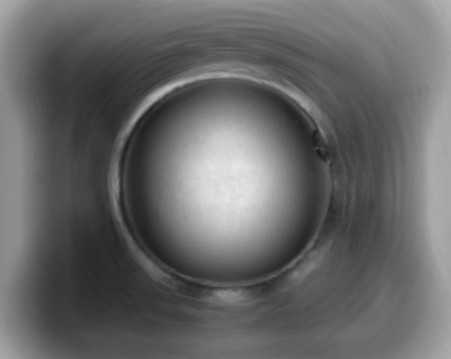 X0000099981523200805301343