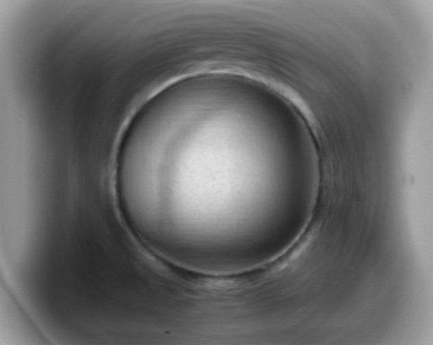 X0000099981525200805301343