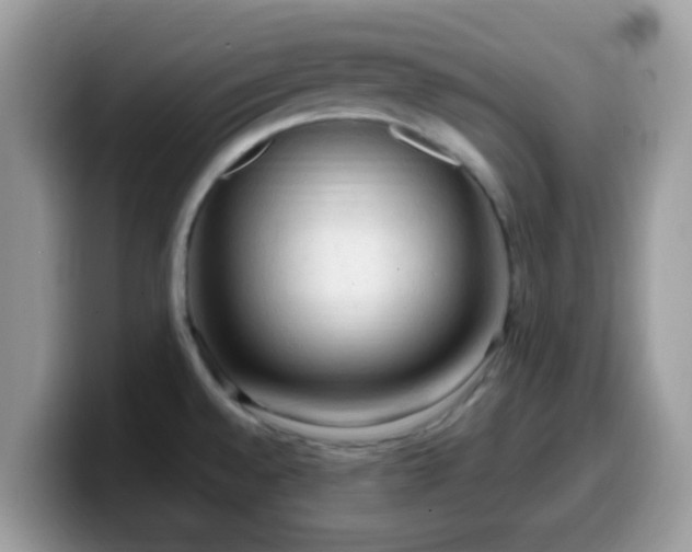 X0000099981528200805301343