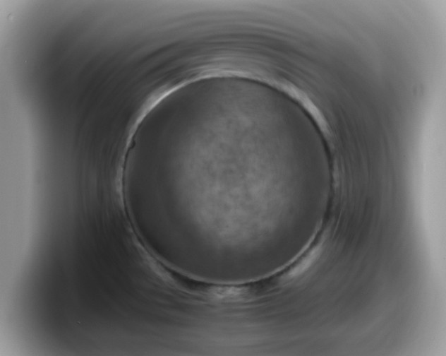X0000099981529200805301343