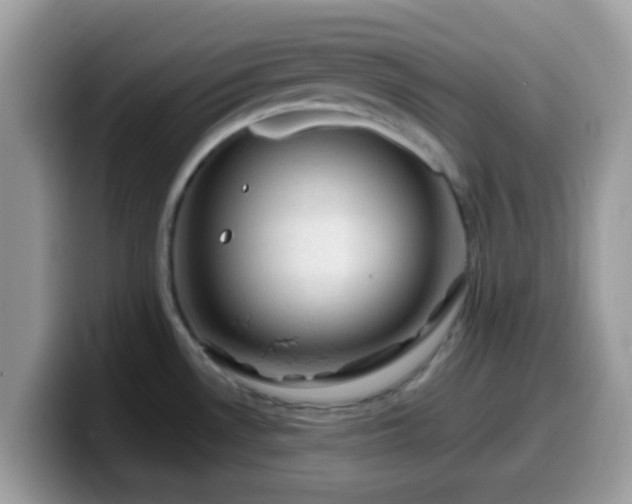 X0000099981530200805301343