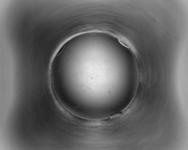 X0000099981532200805301343