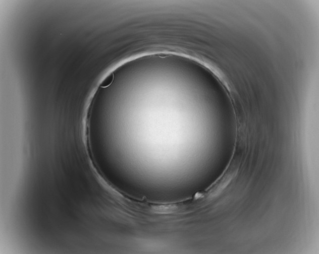 X0000099981535200805301343