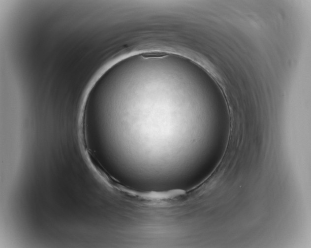 X0000099981536200805301343