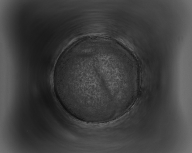 X0000099980002200806061533